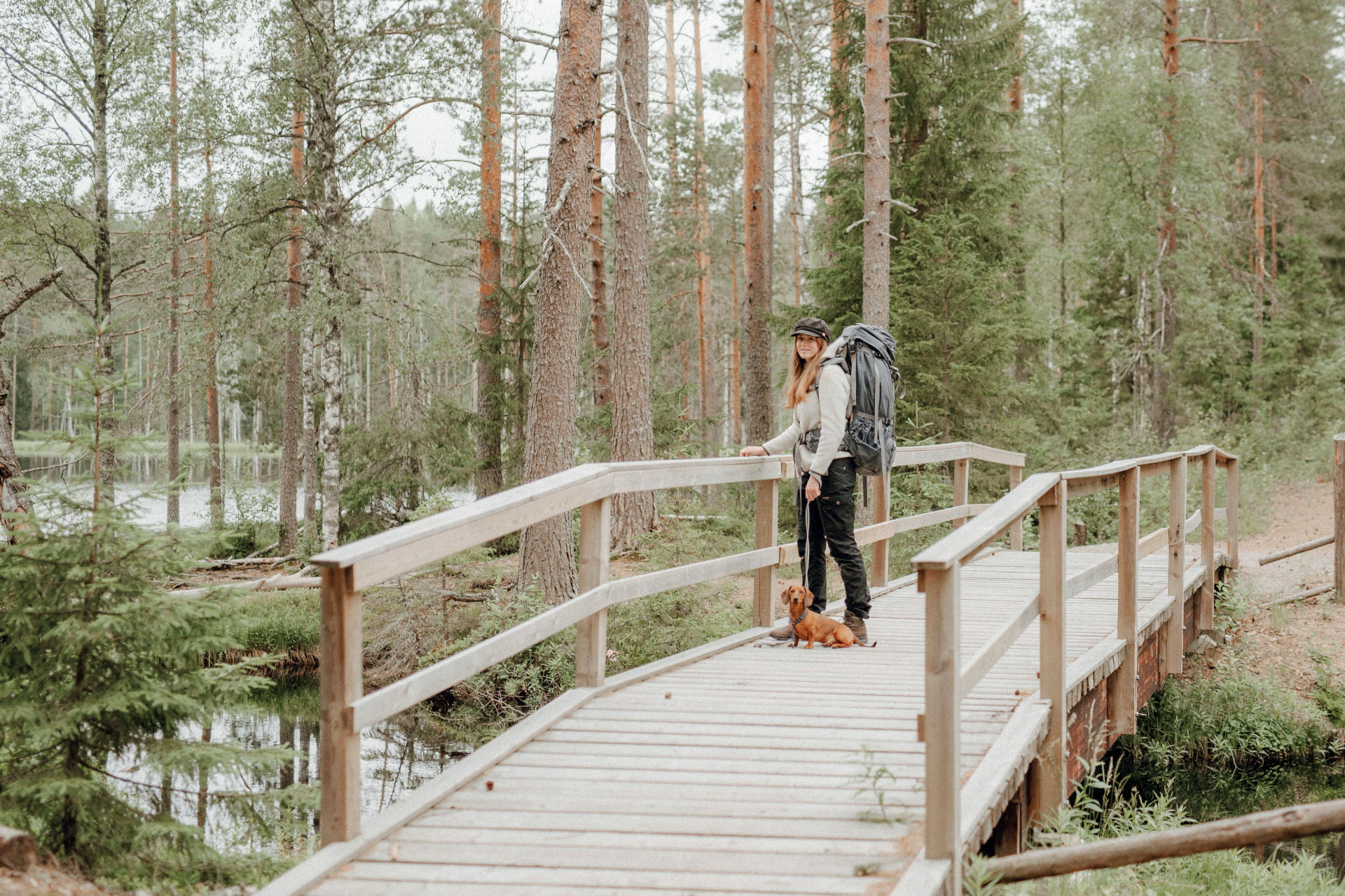 Visit Ylöjärvi – ihan ylöjärvellä: Ylöjärven nähtävyydet kesäretkeilijän silmin. Seitsemisen kansallispuisto